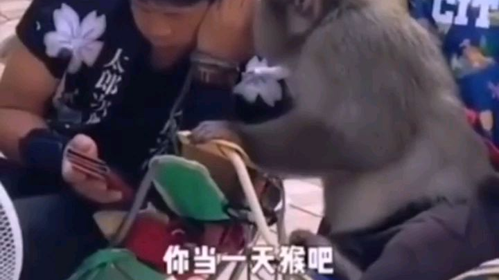 【请求蕉易】改变一下气氛,开心一下~